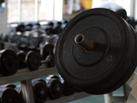 Training bildet die Grundlage für den Muskelaufbau und kann durch Nahrungsergänzungsmittel unterstützt werden.